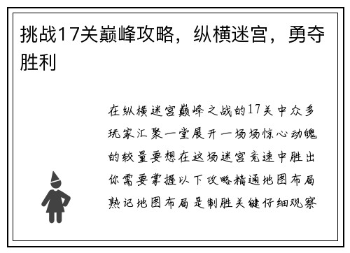 挑战17关巅峰攻略，纵横迷宫，勇夺胜利