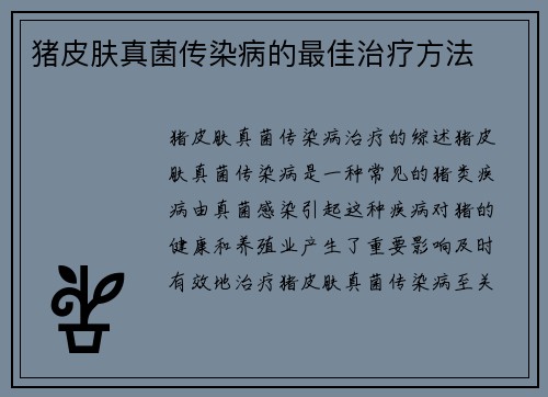 猪皮肤真菌传染病的最佳治疗方法
